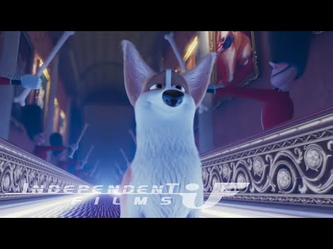 Corgi'