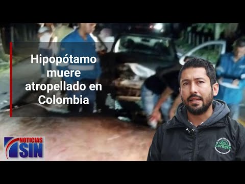 #SINyMuchoMás: Robo, hipopótamo