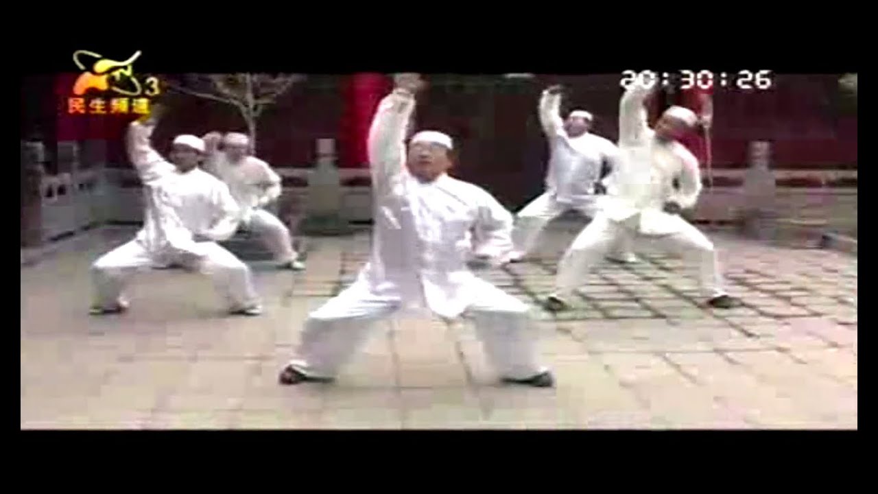 Qi Shi Quan 七式拳 - Chinese/