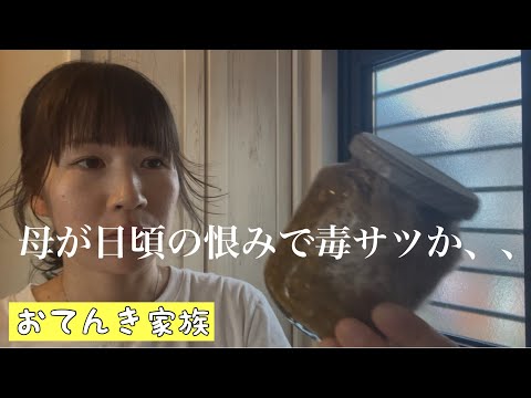 家庭菜園の唐辛子/手作りの豆板醤で麻婆豆腐作りました