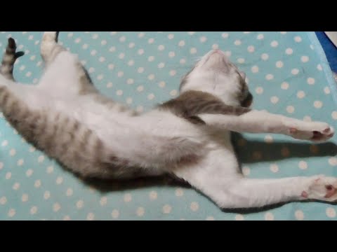 体痛くならない?