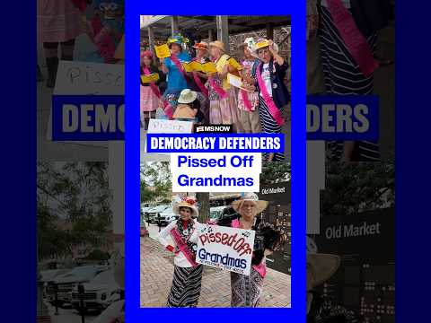 <strong>Democracy</strong> Defenders: Pissed Off Grandmas