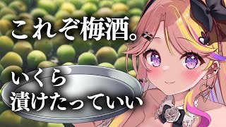 【🔴#雑談 】梅酒漬ける。銀座の”絶頂睡眠”ヘッドスパに行った話。【#みみぴライブ】