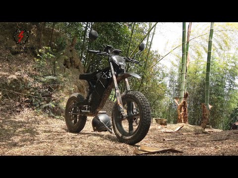 Powerful Carbon Fiber Electric Bike. Denzel Escort.
