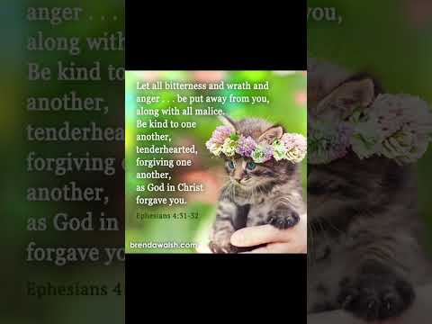 #countrymusic #acousticcover #acoustic #cat #christianmusic #christiansongs #dailybibleverse #love