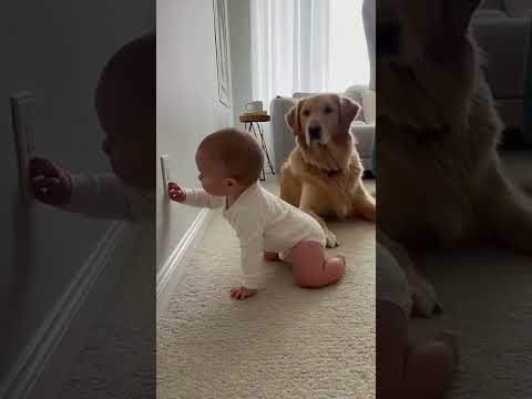 Dog Saves Little Girl From Electric Shock⚡️🐶