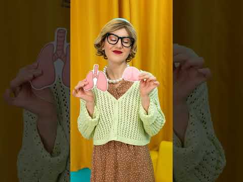 La carte des organes ! 🫀🫁 Où va tout ? 🧐