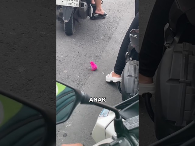 Transformasi yang sangat menakjubkan 🥹❤️ #shorts