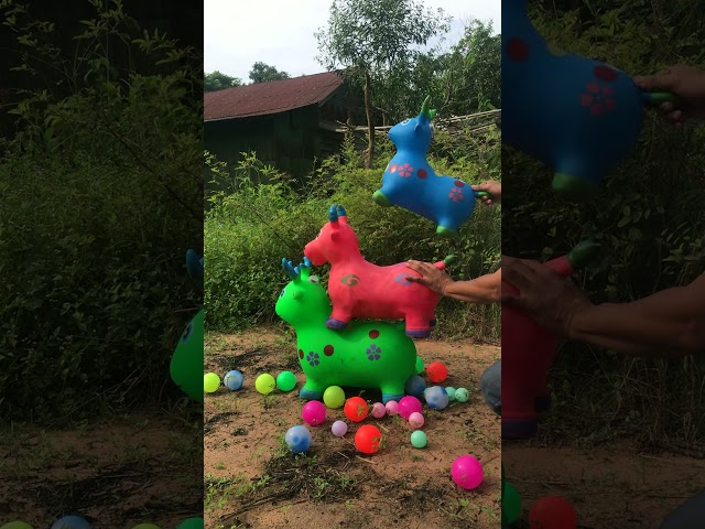 🎑🎑🎑 Cute Goats 🐐🐐🐐🍬🍬🍬 #shortfeed