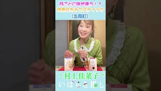 【番外編】いばらき推し「田舎はちみつスティック（五霞町）」#shorts