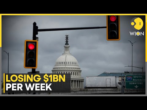 US Economy Takes a Big Hit as Govt Shutdown Enters Fourth Week | WION News