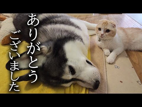 今まで応援してくださった皆様へ...
