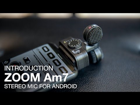 The Zoom Am7 : Introduction