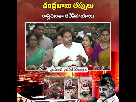 లడ్డులో వాడిన నెయ్యిలో జంతువుల కొవ్వు లేదని, చంద్రబాబు చేసిందంతా తప్పని రాష్ట్రమంతా  తెలిసిపోయింది