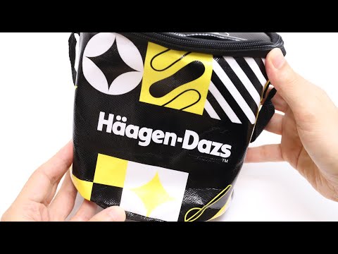 Haagen-Dazs Ice Cream Black Friday Lucky Bag Reusable Cooler Bag is Good!