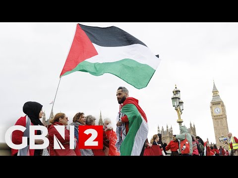 WATCH: Pro-Palestine demonstrators to hold a march in central London