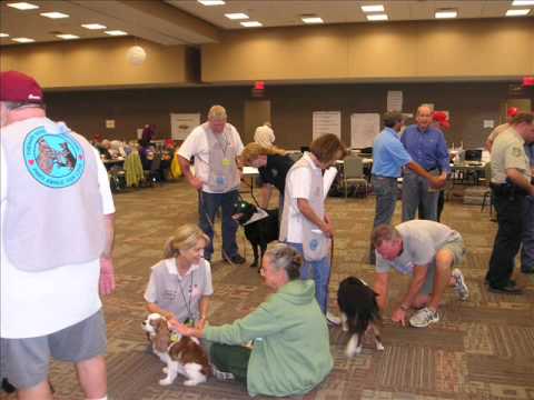 TDI Disaster Stress Relief Dog Team, Bastrop, TX, September 2011
