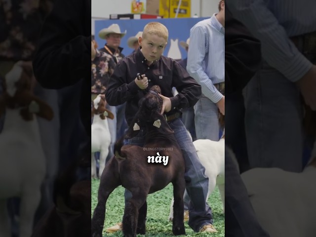 Cách GIÁM KHẢO thông báo con dê nào sẽ GIÀNH GIẢI NHẤT 🐐 👋 #shorts