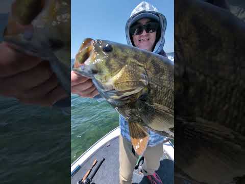50アップばっかりの猪苗代湖 #Fishing#bassfishing #猪苗代湖#猪苗代湖#バス釣り#釣り