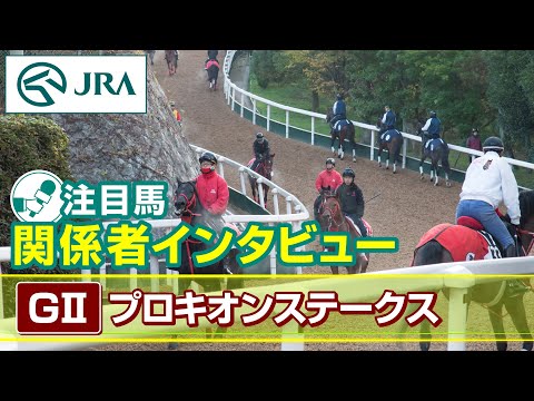 【注目馬 関係者インタビュー】2025年 プロキオンステークス｜JRA公式