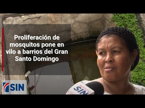Proliferación de mosquitos pone en vilo a barrios del Gran Santo Domingo