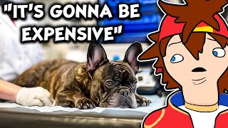 Kenji's family dog had to get surgery