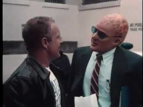 Alien Nation'