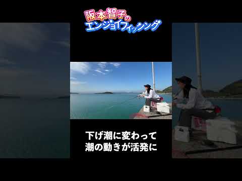 【堤防でのんびり楽しめます】秋のウキダンゴ釣り