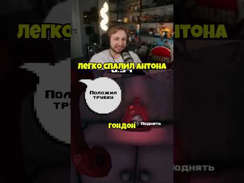 #стинт #стинтик #stint #stintik #твич #стрим #стример