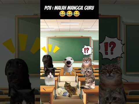 Pov : Jamkos emang TOP 😂 #meme #cat #kucing #animation #fypシ