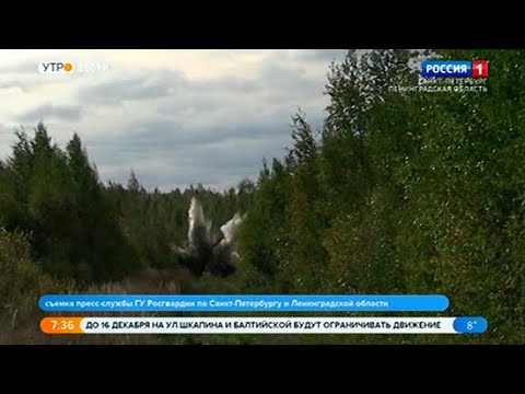 Вести Санкт-Петербург. Выпуск 7:35 от 24.09.2021