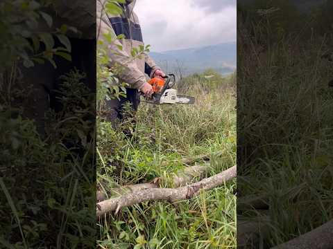 Як запускається бензопила STIHL - MS 180