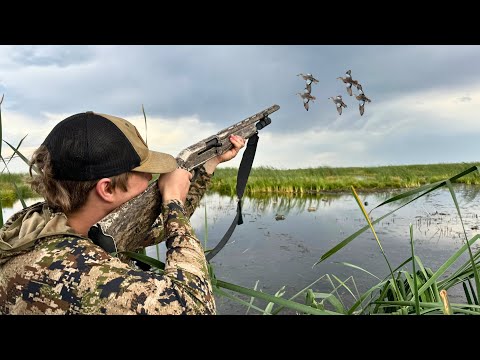 Teal Hunting In A Mudhole | Minnesota Public Land Adventure