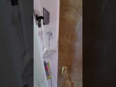 Video realizado por la propiedad