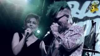 ▲Hillbilly Moon Explosion &amp; Sparky &quot;My love for evermore&quot; Live - High quality sound and video