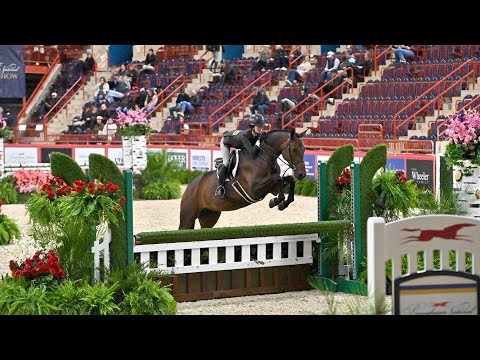 Reality Star 💫 & Carsyn Korotkin Small Junior Hunter 15 & Under Harrisburg PNHS 2025