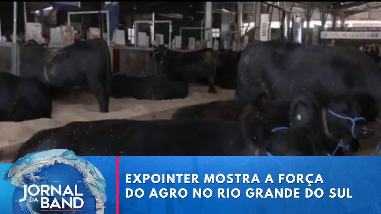 Expointer mostra a força do agro no RS | Jornal da Band