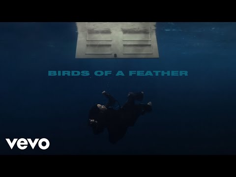 Billie Eilish - BIRDS OF A FEATHER (Official Lyric Video)