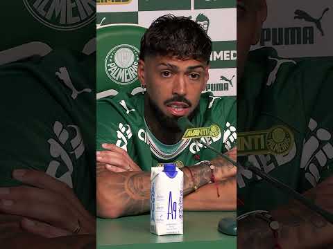 image para ilustrar o artigo