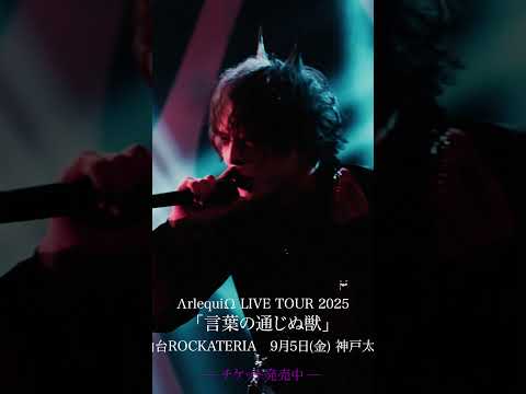 墓穴 / ΛrlequiΩ　2024.10.26 ΛrlequiΩ 11th Anniversary Live「声息」at Spotify O-WEST #ΛrlequiΩ #アルルカン #ライブ