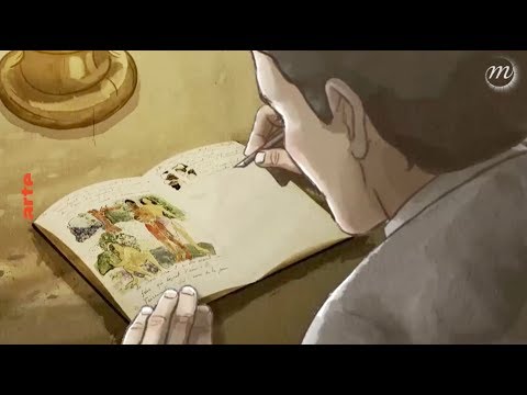 Gauguin: « Je suis un sauvage »'