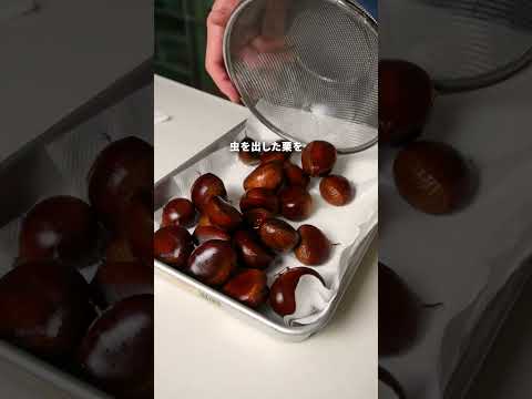 【栗農家直伝】冷蔵庫で栗の糖度を上げるやり方 #ガンガンの料理塾 #栗 #裏技