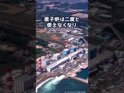 この英雄が政府を無視して原子炉に独断で海水を注入したのはなぜ?