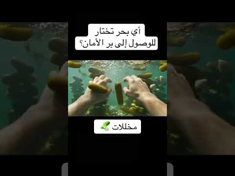 ذكاء اصطناعي