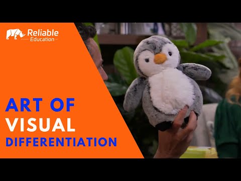 Amazon Private Label - How to Master Visual Differentiation - Reliable Education