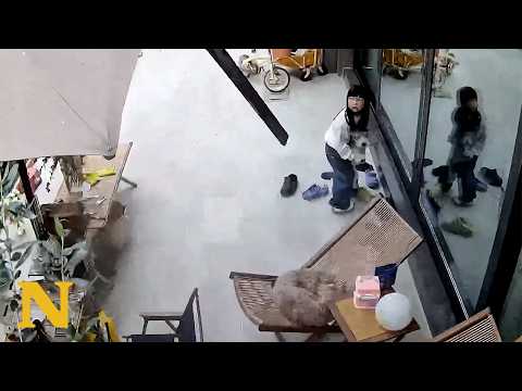 Her dog saved her life