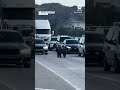 Bear stops traffic on Southern California freeway  - 00:52 min - News - Video