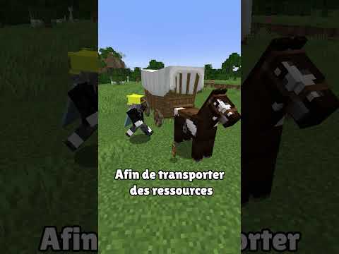 marre des caravanes ?