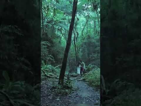 #Inocencia - A fé no amor