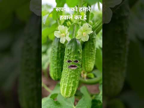 लहसुन ने किया आलू को परेशान 😂😭 | #shorts #jokes #aalupyaj #comedyshorts #funny 🙏#aalu #ytshorts